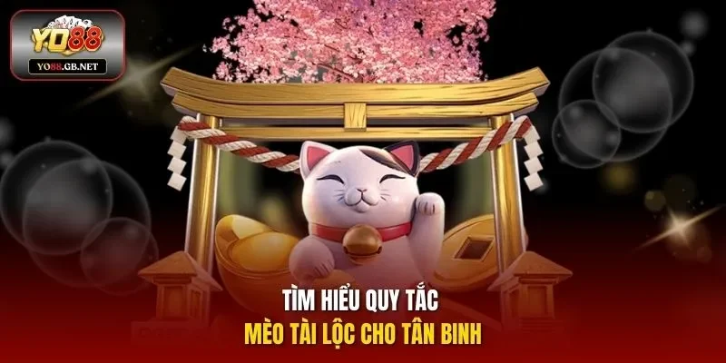 Tìm hiểu quy tắc Mèo Tài Lộc cho tân binh